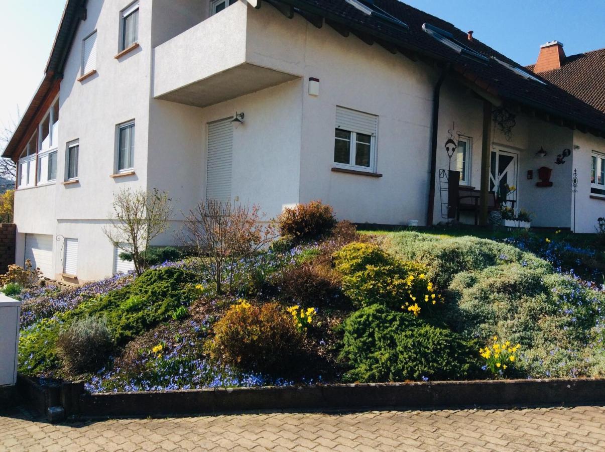 Fernblick Zweibrücken Exterior foto